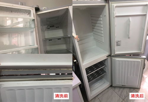 家電清洗與專業(yè)安裝 守護家庭健康與安全的雙重保障